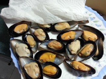 step1: 急凍青口解凍洗淨後用廚房紙抹乾水份