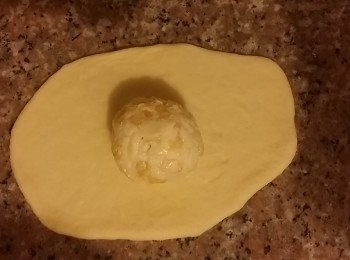 step4: 把完成麵糰模式的麵糰取出排氣。均分成9份 (約52gx9)，滾圓，閒置15分鐘後造型。