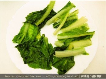 step6: 小白菜入鍋川燙片刻，瀝乾水分後撈出，擺放於盤底。