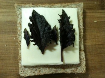 step5: 依序放上起士片和皺葉紫羅勒。