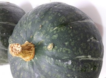 step1: 選用栗子南瓜