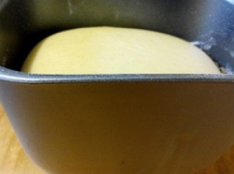 step1: 1、将所有面包材料放在一起揉成面团，再继续揉至出膜后进行第一次发酵。（也可以放在麵包機）