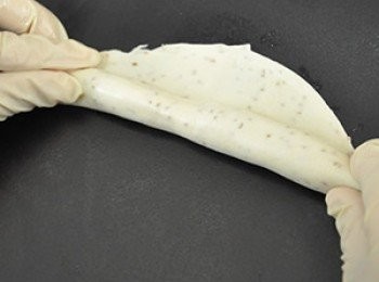 step15: 麵皮捲的時候可邊捲邊拉，這樣餅的才會更緊實。