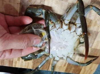 step5: 搣去蟹肚蓋
