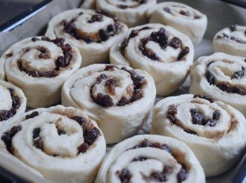 step8: 然後切成十二份，排放在鋪有烘焙紙的烤盤內，每個之間留少許空間。用保鮮紙封好，靜置30分鐘，作第二次發酵