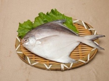 step1: 正印度白鯧~過年年菜必備好吃美味！ 新鮮美味這裡買的到喔~ http://enjoyfresh.com.tw/shopping_cont.php?Key=196&uID=1&cID=31