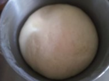 step2: 发酵好的样子