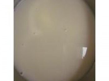 step1: 鮮奶加入糖及香草精(可省略),一起加熱至糖溶化即關火,牛奶不能煮到滾唷!