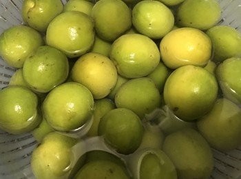 step1: 青梅先沖洗乾淨，瀝乾水份。用廚房紙吸走水份再利用自然風吹乾，之後用牙籤挑去梅子蒂。