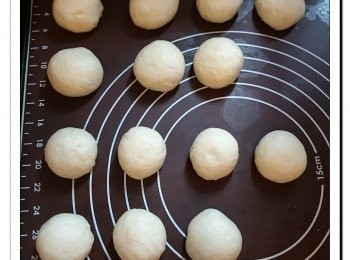 step2: 完成後將麵團輕輕按壓排出空氣, 麵團總重量是583g。分成7份35g及7份48g, 滾圓醒麵20分鐘。