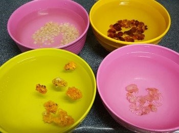 step2: 分別將黃耳、桃膠、皂角米、雪燕洗去雜質，用大量清水浸泡12小時以上（浸過夜）