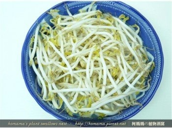 step8: 豆芽菜充分洗淨後，直接平鋪在碗盆的底部。