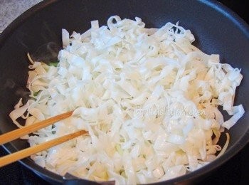 step3: 加入河粉炒鬆