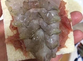 step5: 把蝦豬肉薄薄塗抹麵在包上, 再放上一隻開邊蝦