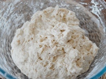 step3: 將麵糰放在大碗內，用保鮮紙包好，放在室溫靜置2個小時，再放入雪櫃最少24個小時 （最多可放7天）