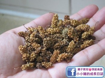 step1: 桑椹佢嘅功效同紅棗差唔多，一樣係滋陰補血同埋補肝益腎，而且補而不燥，所以如果連紅棗都唔飲得嘅人仕，都可以考慮試下桑椹。桑椹係一般藥房都可以買到，而且一両大大包都只係八蚊左右，仲可以分好多次用添呀~