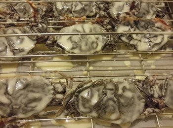 step3: 焗架需搽油然後將蟹放上,預設20分鐘,先焗10分鐘後將焗盆轉一轉位,20分鐘後再决定需唔需要加時。