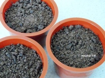 step3: 奶酪凝固之後，在上面灑上巧克力碎