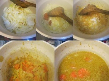 step13: － 下洋蔥炒香，轉小火下咖喱膏炒勻，下椰漿煮沸及有香味
－ 加入甘荀炒勻，再兩大湯碗雞湯煮至甘荀軟身，加入薯仔，下鹽調味，多煮5分鐘即成
－ 蓮藕片及茄子片這時才分別『走油』
－ 剩好咖喱湯後上面放上雞脾、<a href="https://bit.ly/3zHU5V3" target="_blank" data-keyword="雞翼" class="guide-link"><strong>雞翼</strong></a> <span style="display:inline-block;vertical-align:middle;margin-top:-3px;color:initial;border-radius:3px;padding:2px 3px;font-size:12px;line-height:14px;background:#87d300;color:#fff;">即買</span> 及蔬菜即可