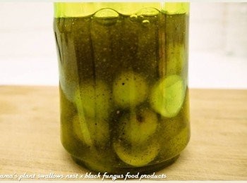 step3: 將黑木耳養生露取代水，直接倒入在果汁機中。