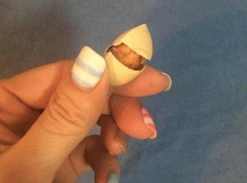 step3: 輕輕ㄧ撥便可輕易開啟。