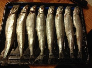 step1: <a href="https://cook1cook.com/shop/item/741?utm_source=cook1cook&utm_medium=recipeingredients&utm_campaign=o" target="_blank" data-keyword="多春魚" class="guide-link"><strong>多春魚</strong></a> <span style="display:inline-block;vertical-align:middle;margin-top:-3px;color:initial;border-radius:3px;padding:2px 3px;font-size:12px;line-height:14px;background:#87d300;color:#fff;">即買</span> 解凍後洗淨, 用廚房紙抺乾