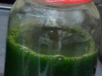 step1: 將100克斑斕葉洗淨，去頭尾，加入200克清水，打碎，再隔渣！將斑斕水倒入玻璃樽，放雪櫃普通格一晚，也可以即時取用：可以參考呢個方法http://cook1cook.com/recipe/17440（可向下滑動到小貼士那再按網址連結）