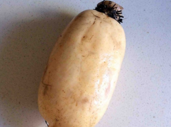 step1: 糯米提前洗淨泡水，蓮藕去皮洗淨，切掉頭部，留著，等下還會用到。