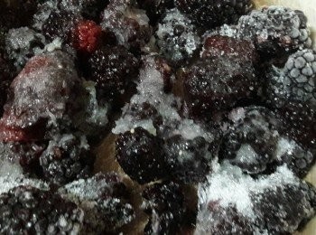 step2: 所有材料和黑莓混合均勻