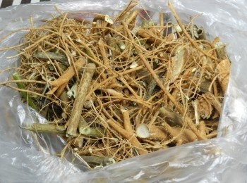 step3: 買九尾草時，老闆通常都會幫忙切小塊，頓時香味四溢～