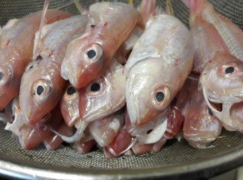 step1: 紅衫魚，清洗後隔乾水份備用