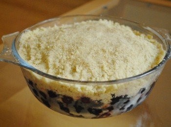 step4: 將<span class="group_2">金寶</span>鋪在水果上，壓實。然後在表面灑少許紅糖，可增加口感