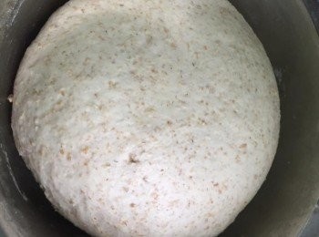step1: 將所有材料搓勻至不黏手光滑麵糰，放入深盤內蓋上濕毛巾，放入溫暖地方,基本發酵30分鐘左右