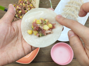 step5: 準備包餃子。