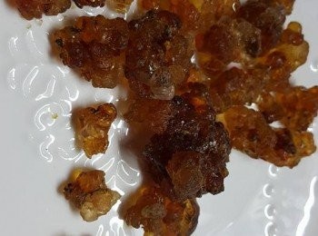 step4: 未浸的桃膠相片