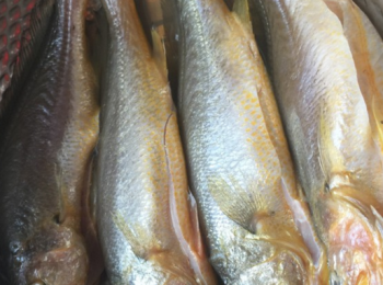 step1: 小黃魚清洗乾淨。