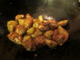 step2: 煎至六成熟后放入调味料炒匀，放马铃薯和倒入清水（水必须淹过鸡块一半）盖上锅盖慢火焖15-20分鐘，开盖略炒匀就可以了。