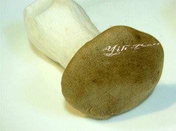 step3: 杏鮑菇切丁