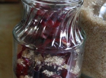 step8: 再繼續加點洛神花進去