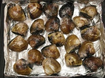 step1: 1.先將蛤蠣洗一洗 2.撒上適量的鹽 3.放入水波爐使用水波燒烤約8分鐘!!! 或是預熱180烤箱烤約5分鐘!!!