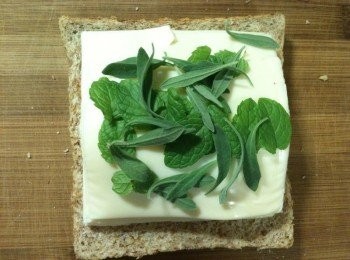 step7: 依序放上起士片和薄荷、甜薰衣草。