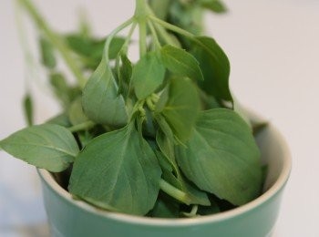 step2: 青檸一個壓汁
九層塔用水沖洗