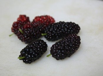 step1: 不管是做水果或是做菜，第一個清洗工作很重要，要挑掉有點腐爛的桑葚、或是多餘的樹葉、或是有未發現的果蟲，才能進行下面製作程序，總不能吃到一半或是煮到一半突然出現不該出現的訪客。