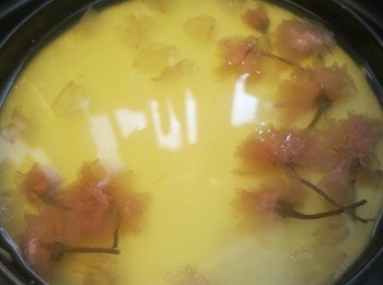 step21: － 用鉗子 或牙纖 夾上櫻花漬輕輕按想要的畫面放好