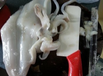 step1: 將鮮魷切開中間去腸