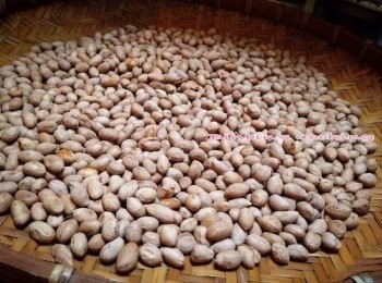 step4: 可以迅速拿幾粒花生出來吹涼撥開花生膜,看花生米顏色喜歡吃焦一點就在繼續炒一下！好了就關火快速將花生撈起（因為鹽巴的溫度會讓花生繼續熟下去）放在大盤中，待冷卻後裝罐。