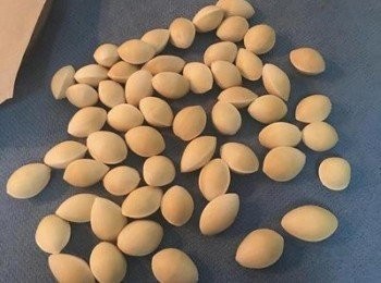 step1: 烤箱預熱到180g 烤盤上鋪烘焙紙，並均勻撒上鹽。