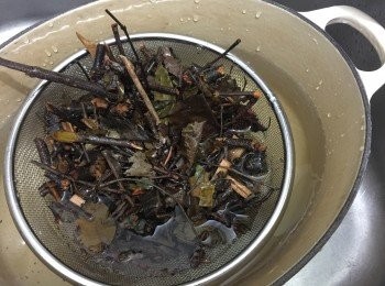 step1: 桑寄生浸洗10分鐘, 入豆漿袋煲30分鐘。