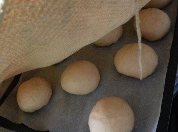 step11: 排上已舖牛油紙的焗盤上,用布蓋起靜止多45分鐘