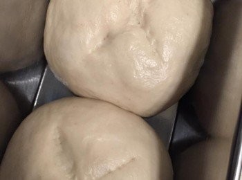 step5: 準備烤盤，塗些許菜油防黏，放入麵團，利用密閉空間（例如微波爐），室溫進行第二次發酵，約1 - 1.5小時 （看當時的溫度及濕度決定）